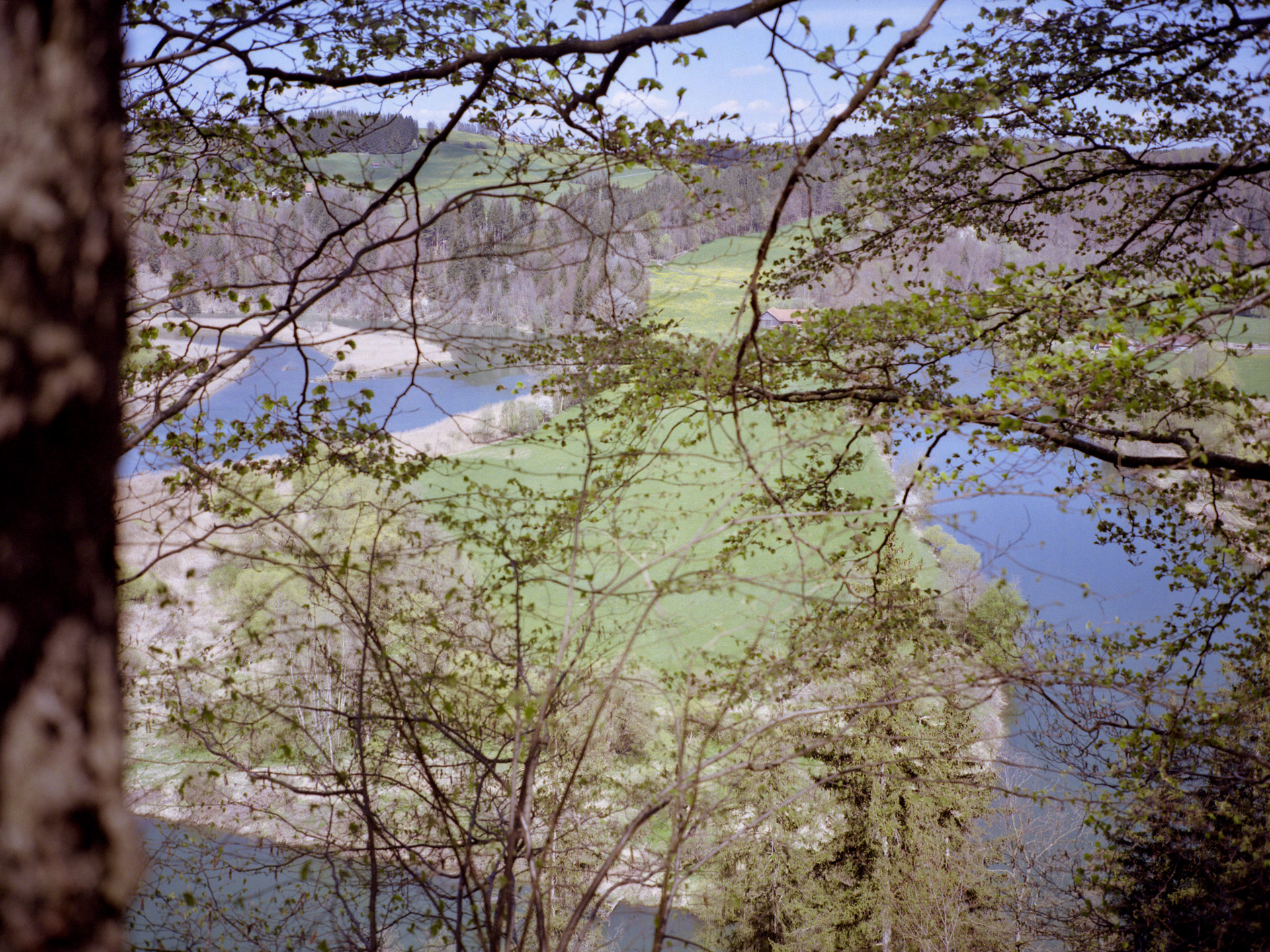 01-kodak200-kalden-web